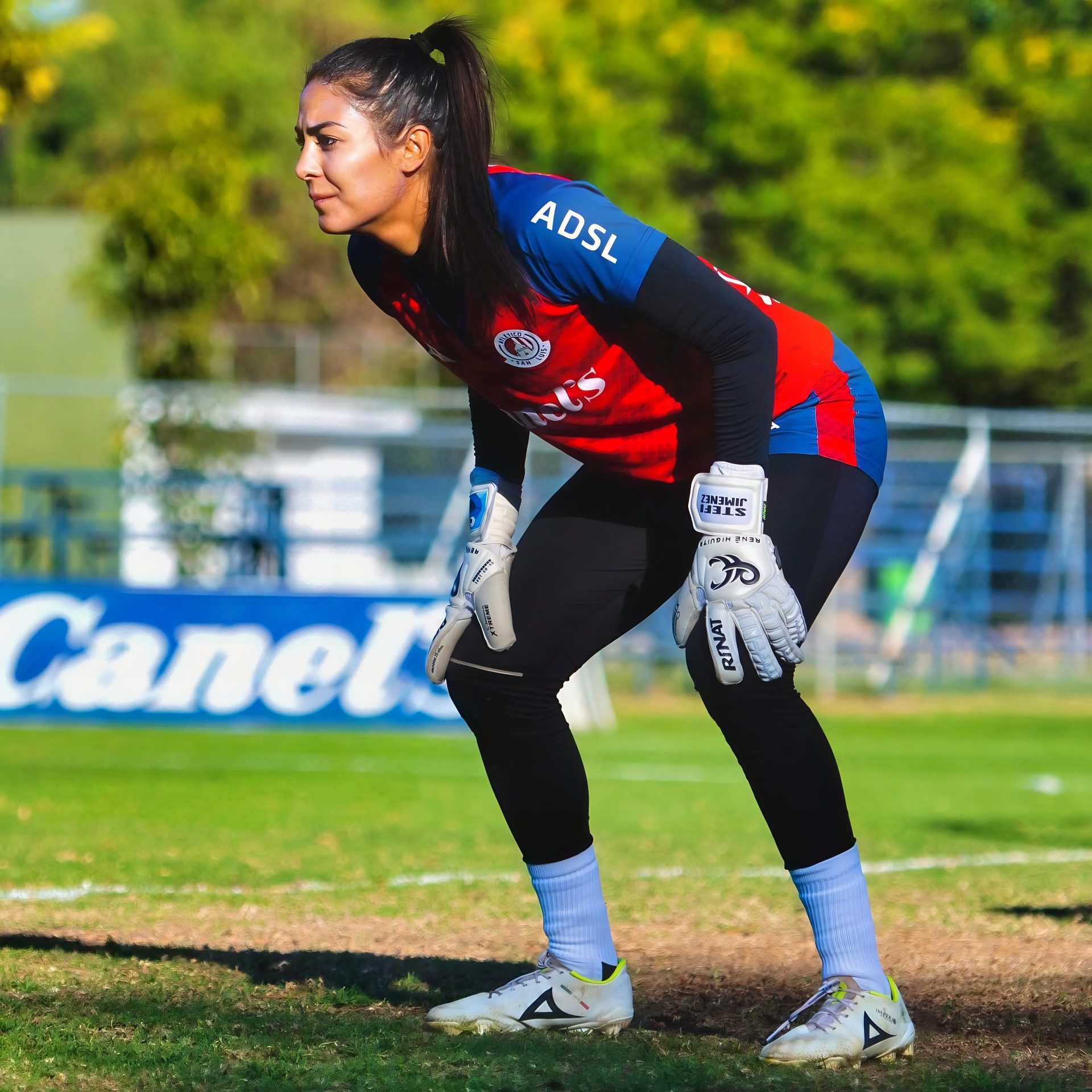 Stefani Jimenez Stefani Jimenez